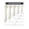 Kable Kontrol Cable Tie Kit, 4 in, 5-1/2 in, 8 in, 11 in, 14 in L, Natural, Nylon 6/6, 18 lb, 50 lb Strength CT-KIT-MS-NT - alternate 6